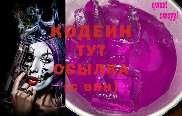 индика Приозерск