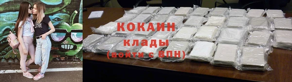 индика Приозерск