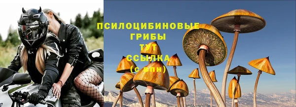 соль ск Абдулино