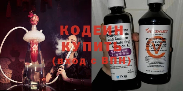 индика Приозерск