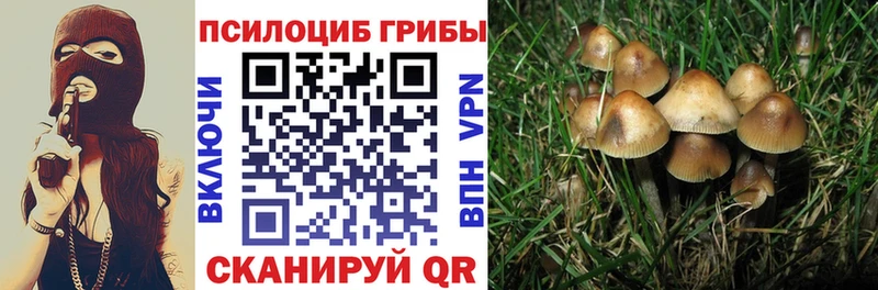 Галлюциногенные грибы мухоморы Майский