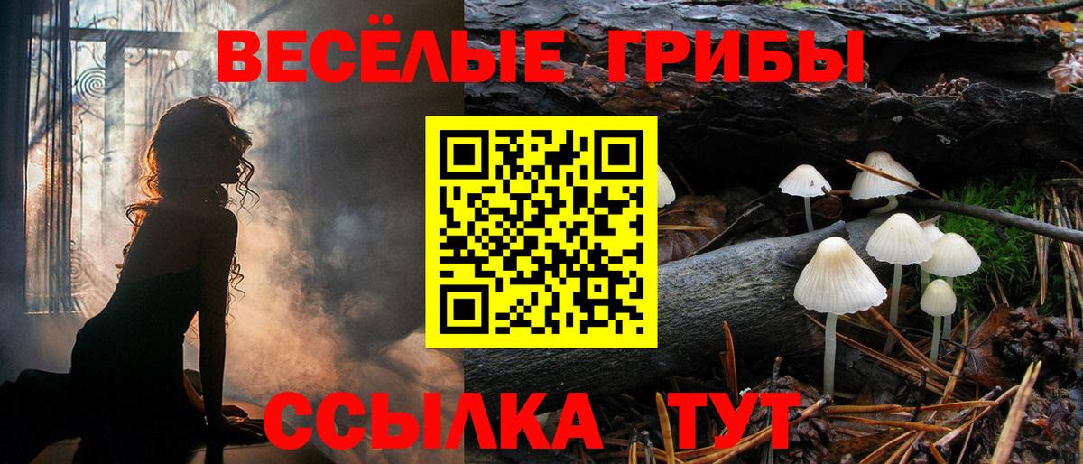 Майский  Галлюциногенные грибы Psilocybe  Вход с VPN 