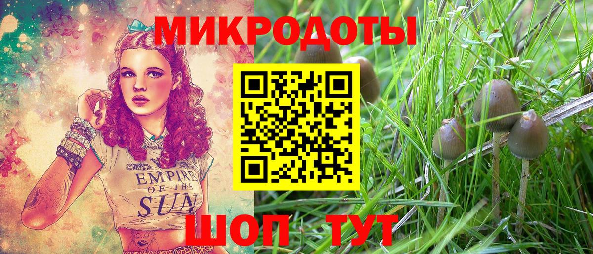 Псилоцибиновые грибы Magic Shrooms Майский
